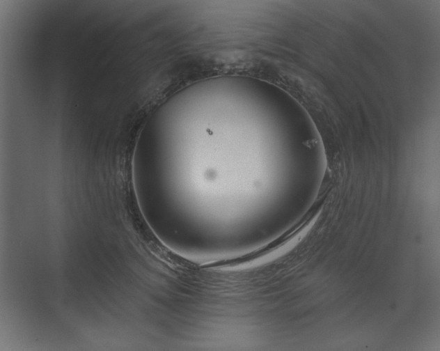 X0000073990756200608281313