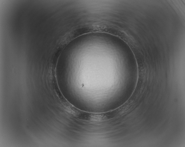 X0000073990757200608281313