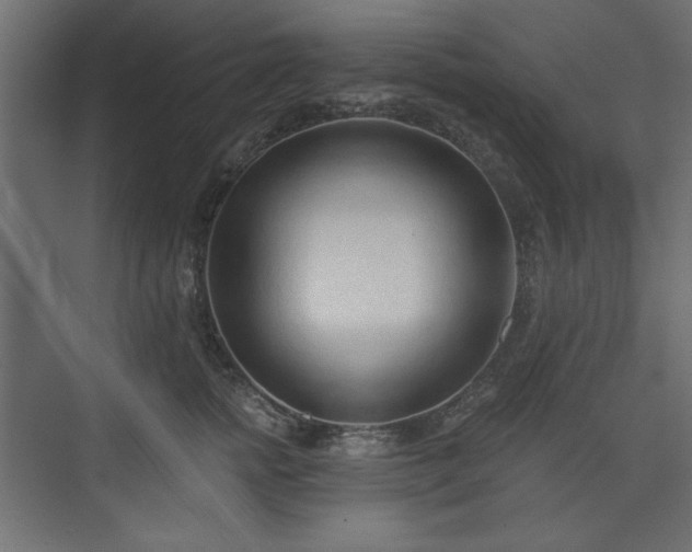 X0000073990758200608281314