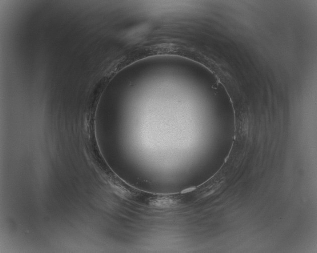 X0000073990759200608281314