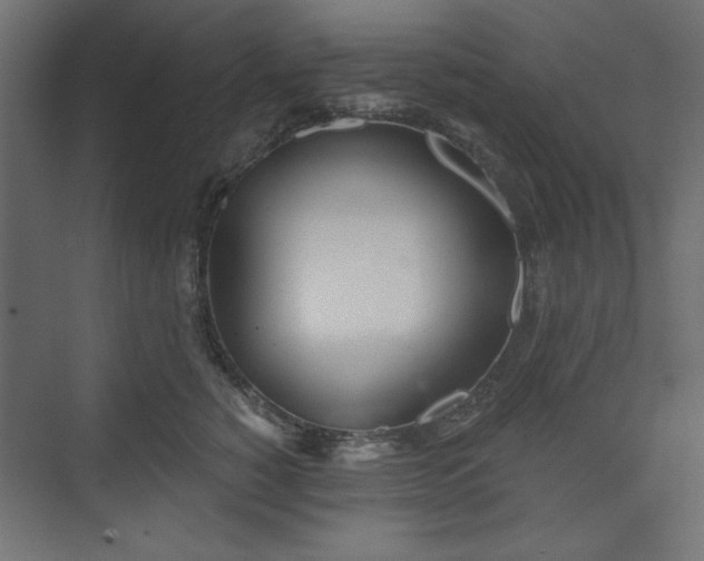 X0000073990760200608281314