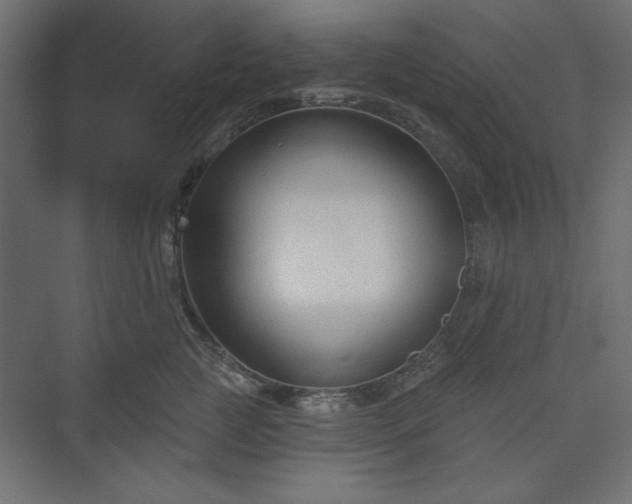 X0000073990761200608281314