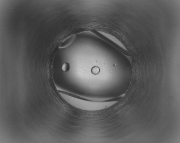 X0000073990762200608281314