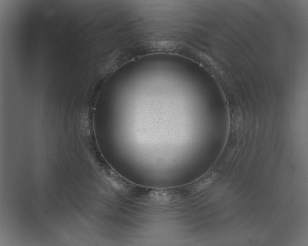 X0000073990764200608281314