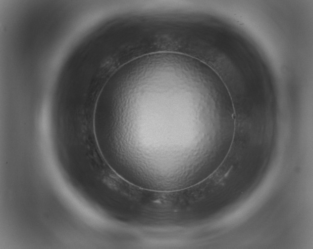 X0000073990765200608281314