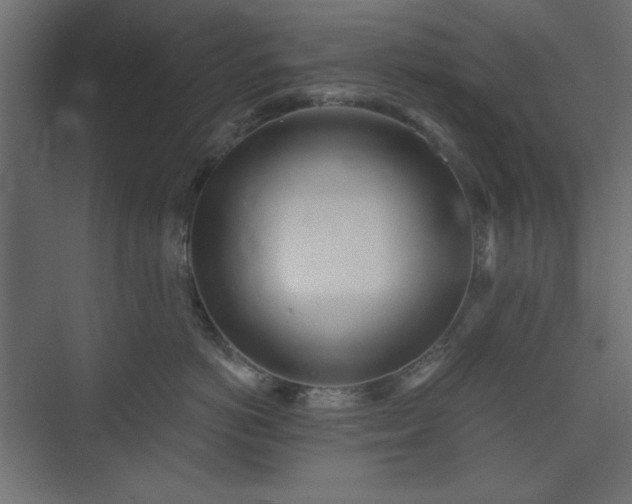 X0000073990766200608281314