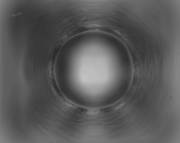 X0000073990767200608281314