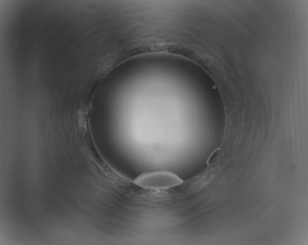 X0000073990768200608281314