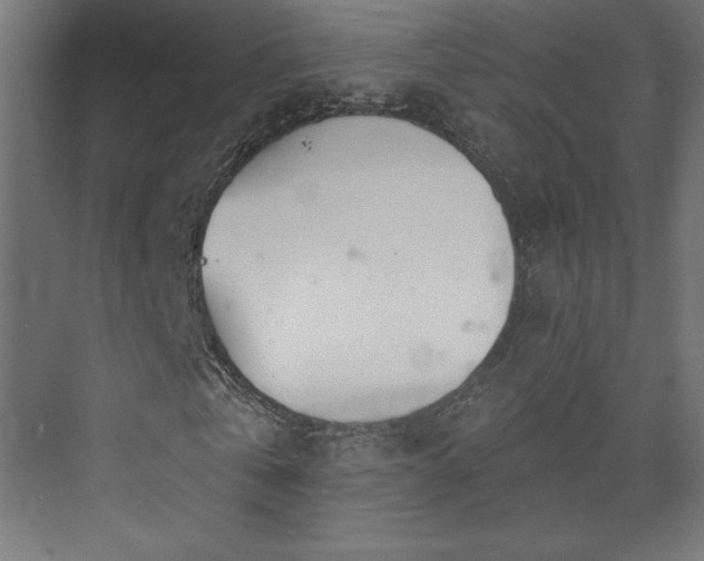 X0000073990769200608281313