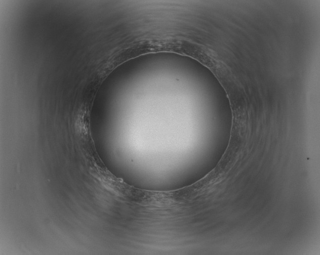 X0000073990770200608281313