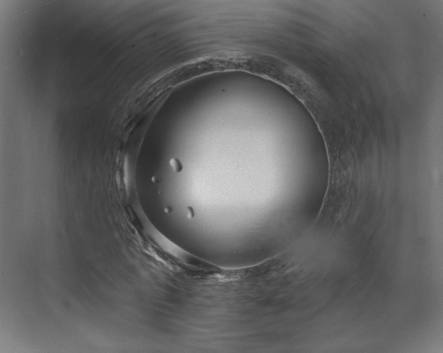 X0000073990773200608281313