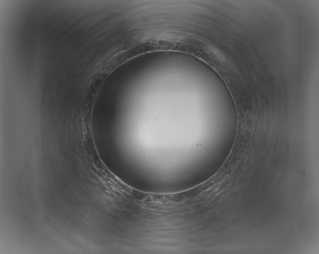 X0000073990774200608281313