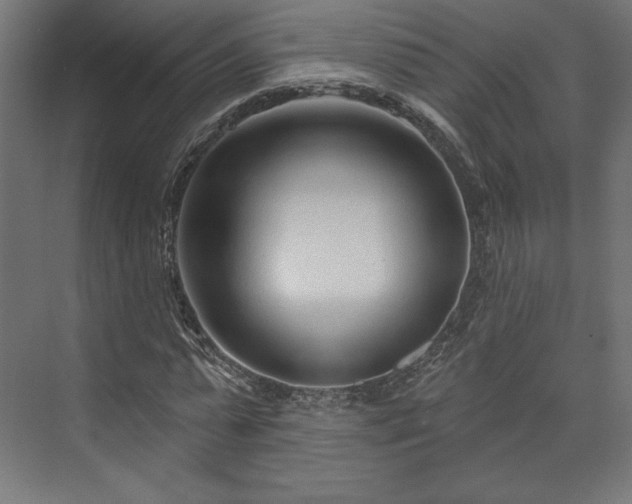 X0000073990775200608281313