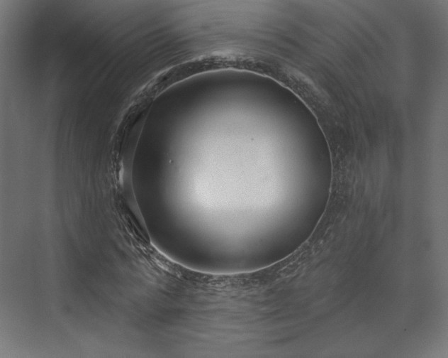 X0000073990776200608281313