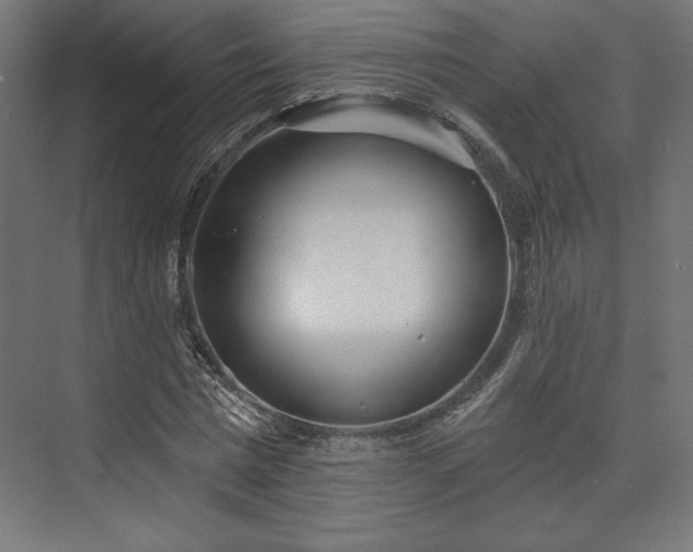 X0000073990777200608281313