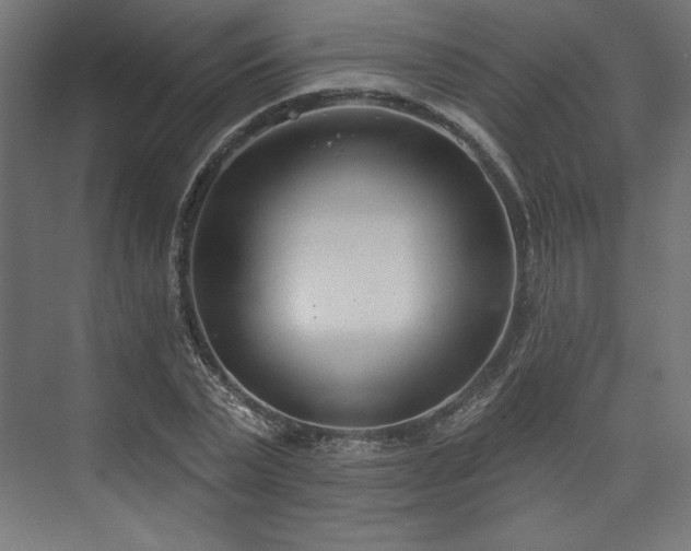 X0000073990783200608281313