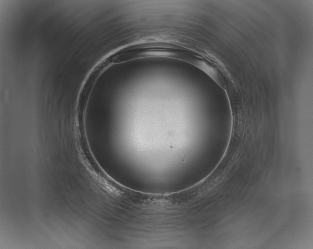 X0000073990784200608281313