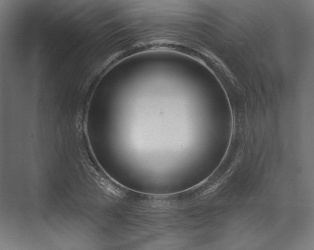 X0000073990785200608281313