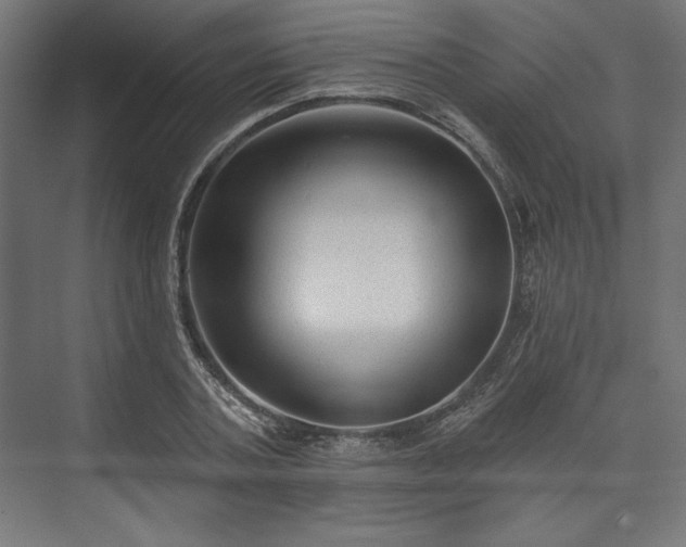 X0000073990787200608281313