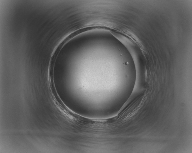 X0000073990788200608281313