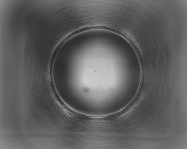 X0000073990789200608281313