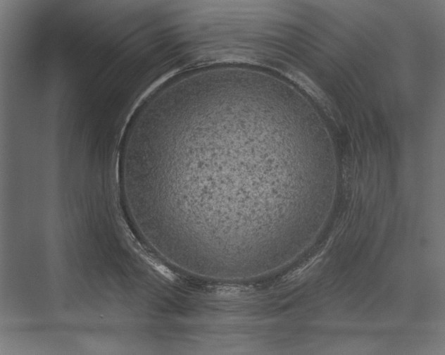 X0000073990790200608281312