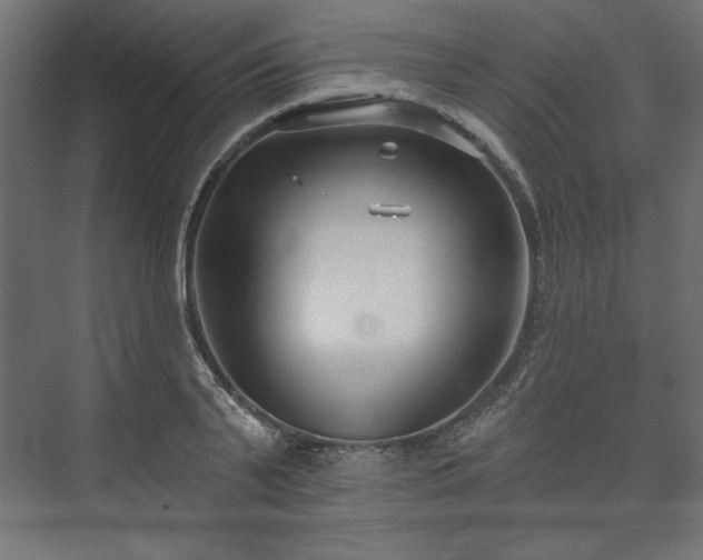 X0000073990791200608281312