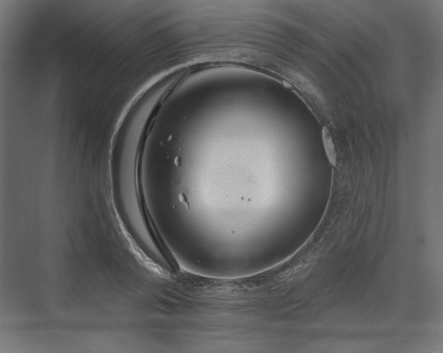 X0000073990792200608281312