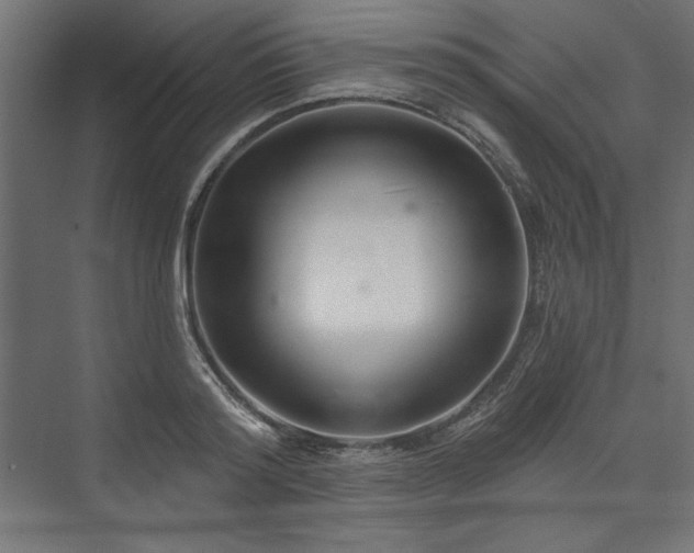 X0000073990796200608281312