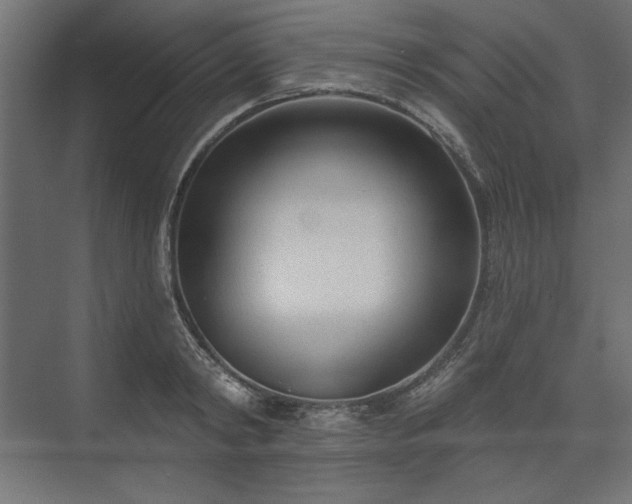 X0000073990798200608281312