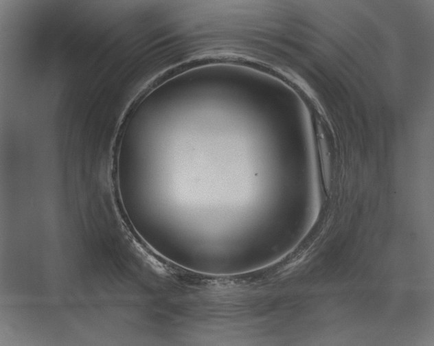 X0000073990799200608281312