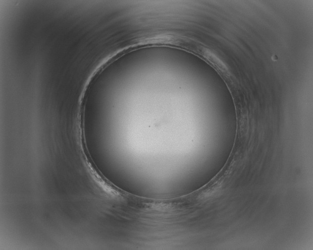 X0000073990800200608281312