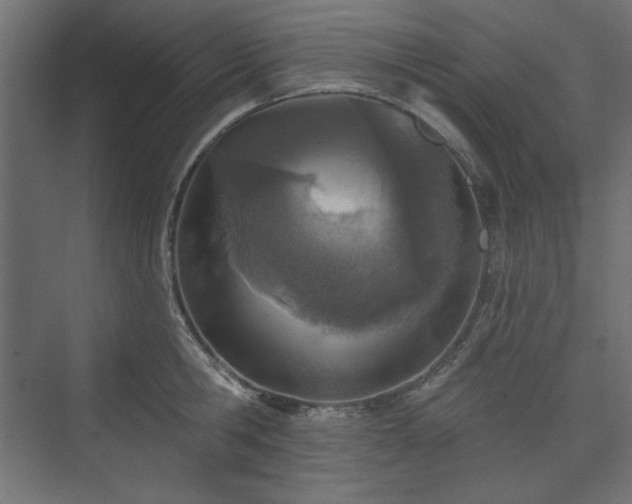 X0000073990806200608281312