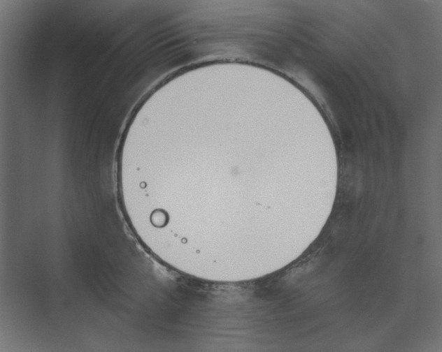 X0000073990807200608281312