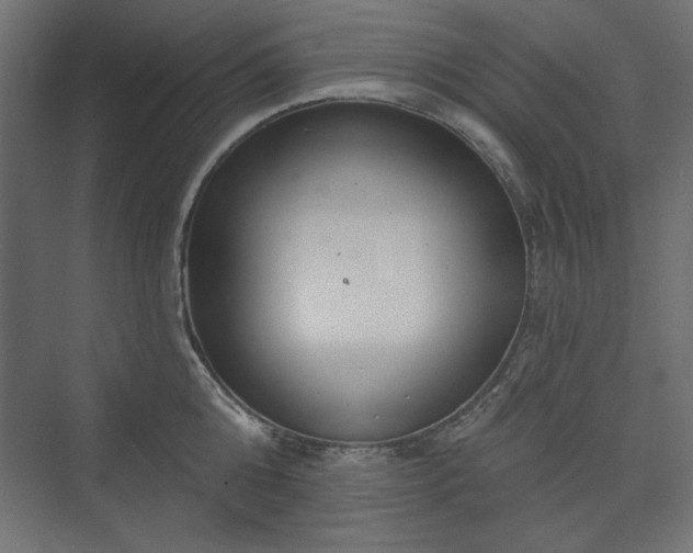 X0000073990808200608281312