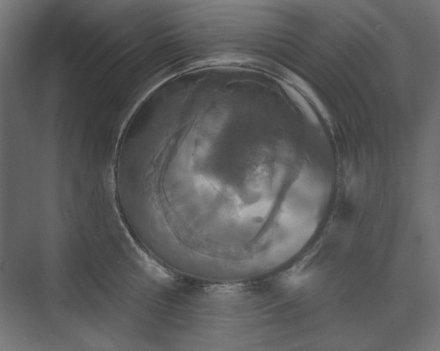 X0000073990810200608281312