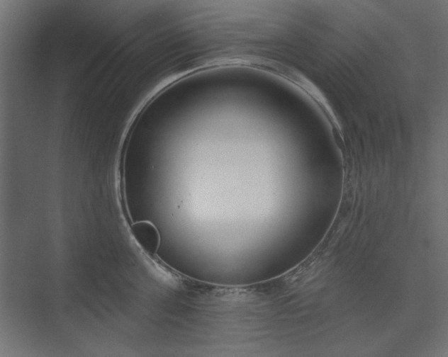 X0000073990811200608281312