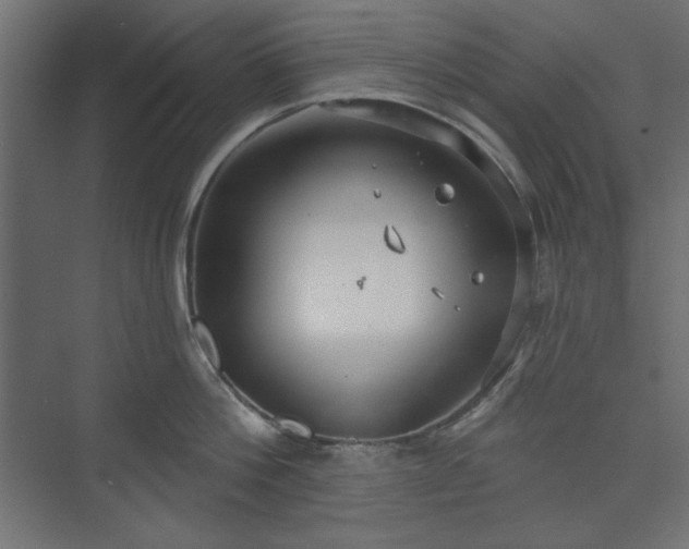 X0000073990812200608281312