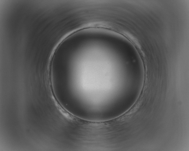 X0000073990816200608281312