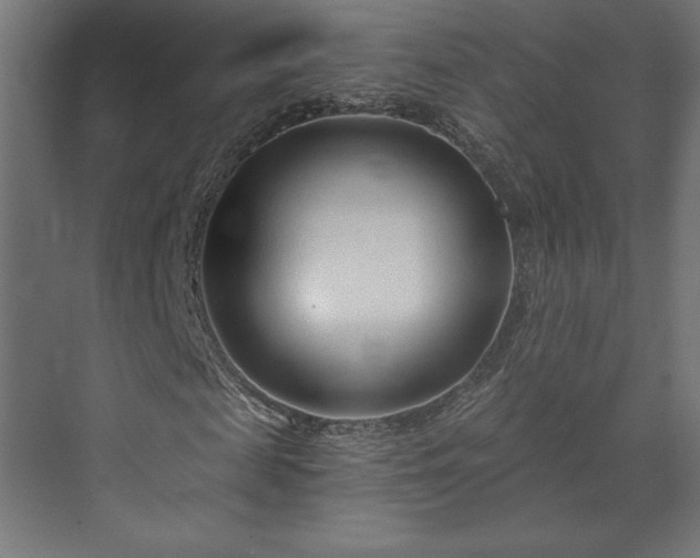 X0000073990817200608281311