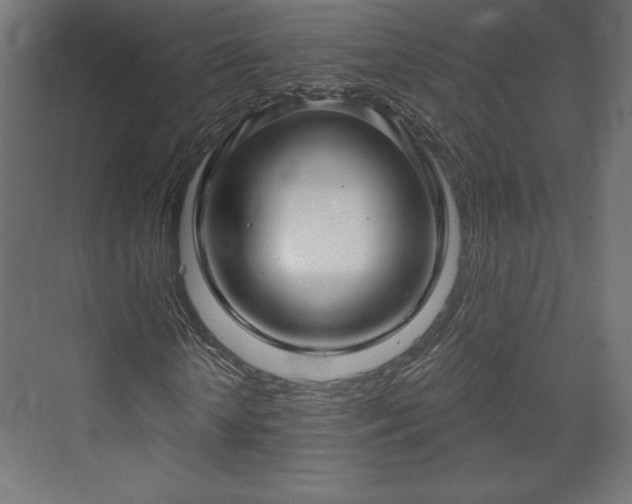 X0000073990818200608281311