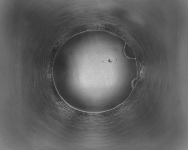 X0000073990819200608281311