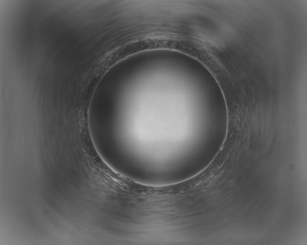 X0000073990821200608281311