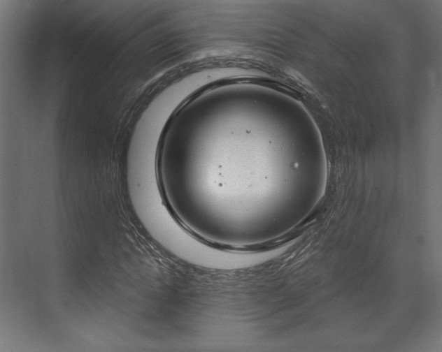 X0000073990822200608281311