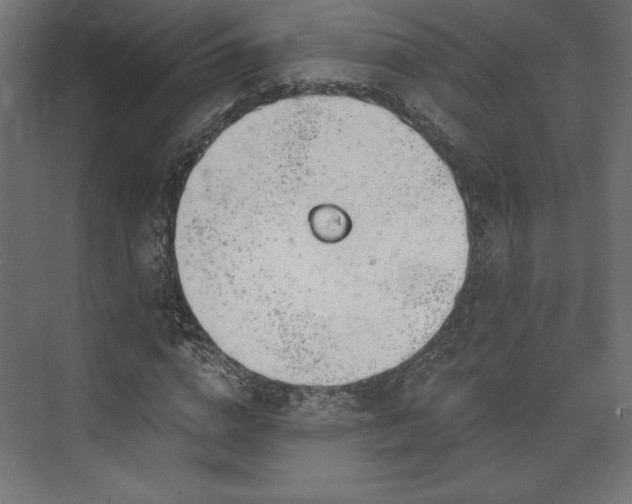 X0000073990824200608281311