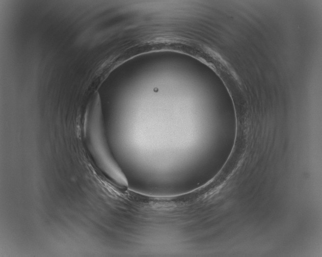 X0000073990825200608281311