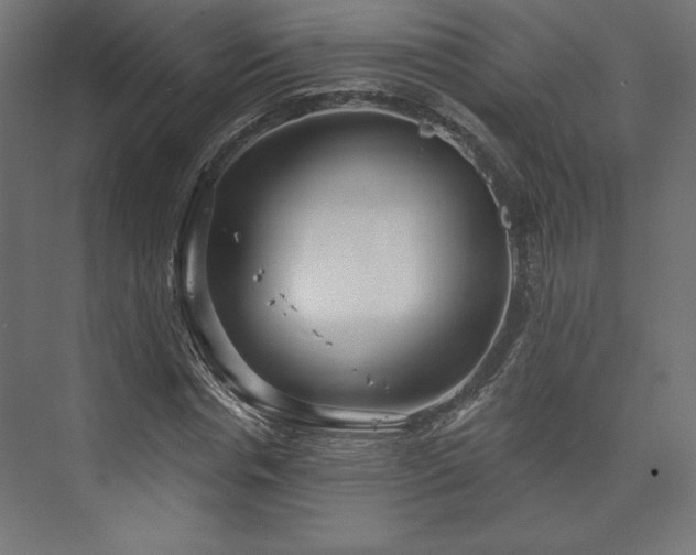 X0000073990826200608281311