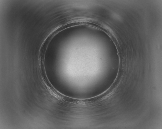 X0000073990827200608281311