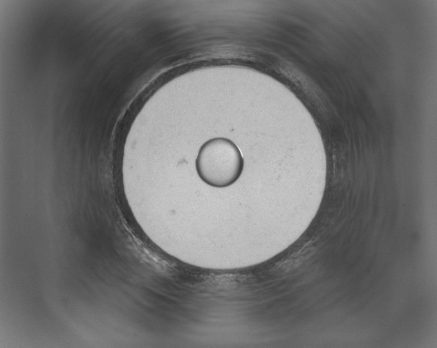 X0000073990828200608281311