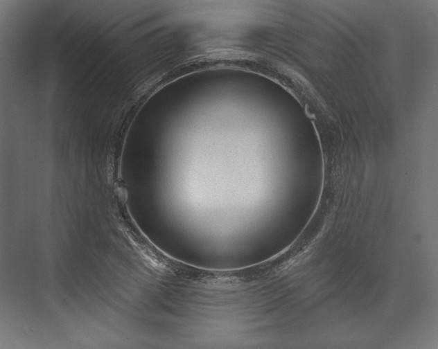 X0000073990833200608281312